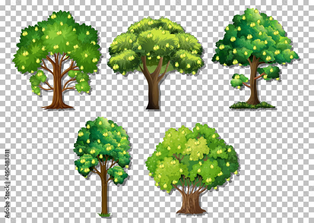 Wall mural Set of different trees on transparent background