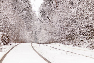 An old tram moving through a winter forest