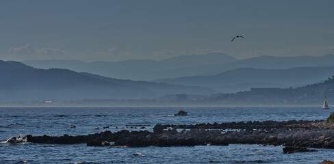 La M&eacute;diterran&eacute;e, &agrave; l'Ile Sainte Marguerite, au large de cannes, French Riviera