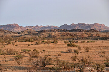 view of african savanna and and mountain range in the distance, damaraland in northern namibia
