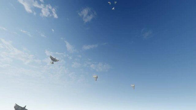 White pigeons slowly rising towards the clear sky, 4K