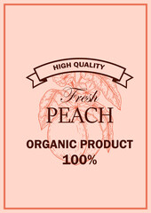 Hand drawn peach design. Vector illustration in sketch style
