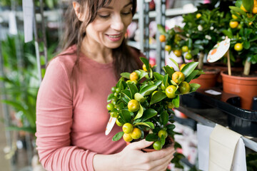 Smiling attractive woman holding tangerine tree in  pot in nursery. Female person buying house plant for home in garden center. Horticulture concept