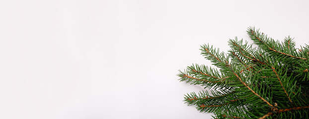 Christmas tree branch on a white background blank. Copy space. Business or greeting card. New year...