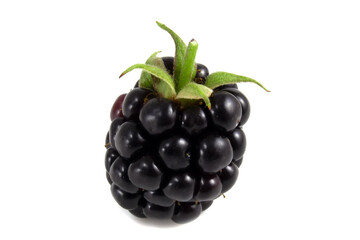 blackberry isolated on white background, clipping path, full depth of field.