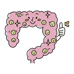 腸内フローラが整っている大腸