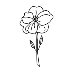 Floral doodle poppy. Wild meadow flower. Hand drawn illustration.
