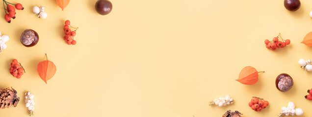 Autumn layout with physalis, cones, leaves, rowan. Flat lay pattern nature gifts of autumn on a yellow background in banner format. Copy space