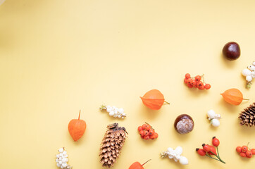 Autumn layout with physalis, cones, leaves, rowan. Flat lay of gifts of autumn on a yellow background