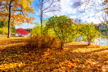 Autumn foliage and Grand pond in Catherine park, Pushkin (Tsarskoe Selo), Saint Petersburg, Russia