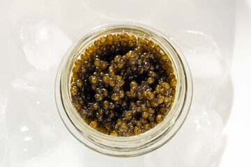 Premium caviar black in glass jar served in ice cube, selective focus
