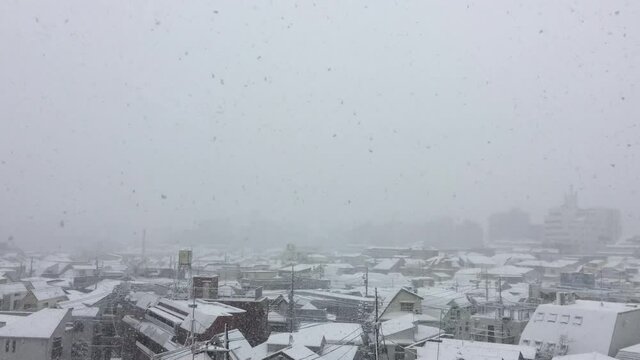 雪がふる