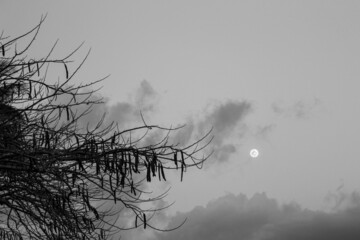 Moonlight Shining in the Dark