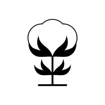 Cotton flower icon. Vector drawing on blank background. Isolated outline and linear black and white illustration.