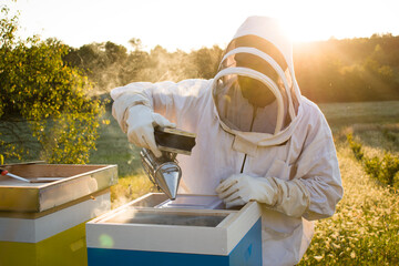 Beekeeper working with bees in the sunset