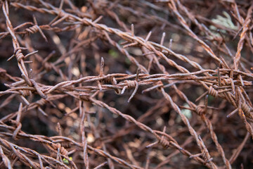 Rust burbed wire, old metal texture.