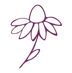 Simple doodle of a blooming flower. Vector illustration. Hand drawing