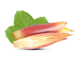 Myoga an isolated on white background