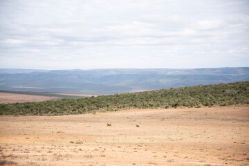 landscape with sky