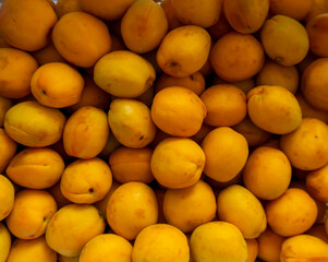 photo of a lot of apricots on the counter of the store