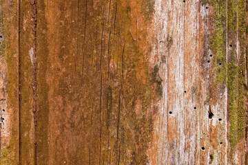 Fototapeta na wymiar Old rustic wood texture