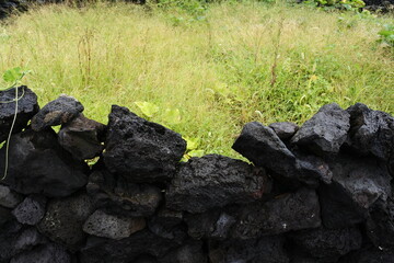 field