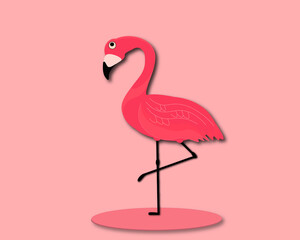 flamingo illustration