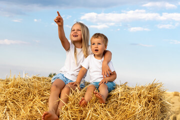 Two cute adorable caucasian siblings enjoy having fun sitting on top over golden hay bale on wheat harvested field near farm. Happy childhood and freedom concept. Rural countryside scenic landscape