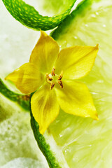 Close-up of flower on top of summer cocktail with lime slices inside detox refreshing drinks mocktail. Cold summer lemonade. macro.