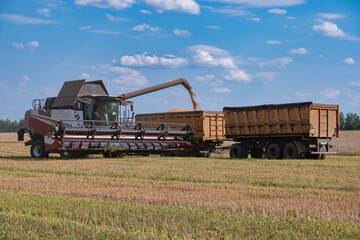 A harvester pouring rye and wheat grain into a truck trailer after harvesting. Blue sky and white clouds in the background. Agriculture, cereal cultivation, seasonal work.