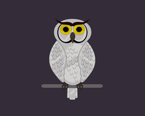 owl