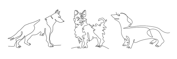 German Shepherd, Dachshund and Yorkshire Terrier. Set of illustrations with dogs.