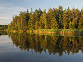 Typical Czech landscape of the Vysocina region with ponds and spruce forests