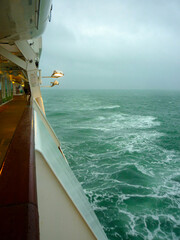 Kreuzfahrtschiff auf See - Cruiseship cruise ship liner at sea