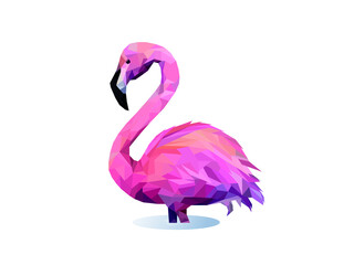 beauty flamingo  pink  bird nature