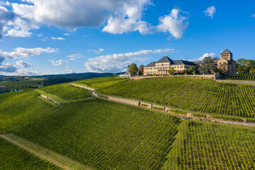 Bird's eye view of the vineyards of Johannisberg / Germany in the Rheingau with the castle on top...