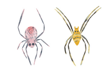 Watercolor spiders set illustration. Halloween hand painted spiders collection isolated on white