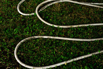 The white hose for watering the garden lies neatly on the green grass