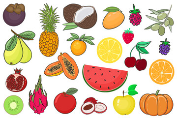 Set of fruits and berries vector illustration. A large set of summer exotic fruits, juicy and ripe berries. Organic healthy food.