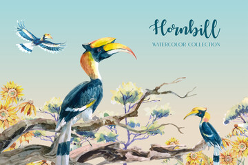 Tropical hornbill watercolor collection in forest on branches with trees and sunflowers in the background. 