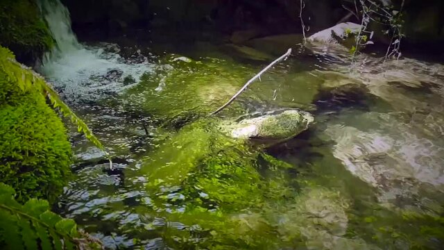 Gorgo presso il Torrente Scarzola, Monte S. Maria Tiberina, PG, Italia