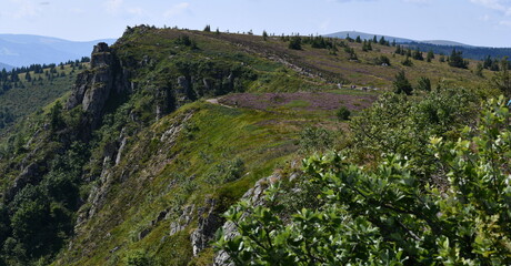 Réserve Naturelle de Tanet-Gazon du Faing