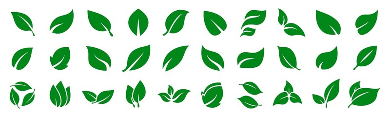 Different green leaves shapes isolated on white. Green leaf vector icon collection for design.