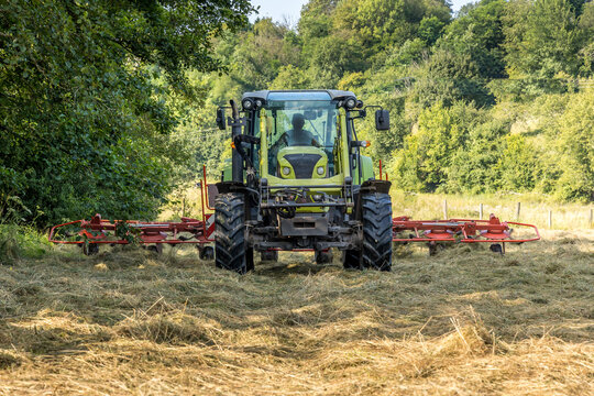 La moisson dans les champs