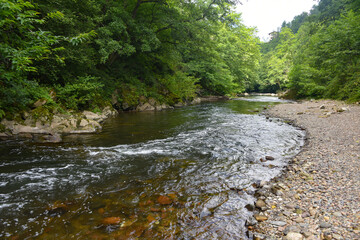 Puente de las Brujas and Leitzaran river. Andoian, Gipuzkoa, Basque Country, Spain