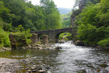 Fototapeta na wymiar Puente de las Brujas and Leitzaran river. Andoian, Gipuzkoa, Basque Country, Spain
