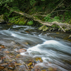 Fototapeta premium Puente de las Brujas and Leitzaran river. Andoian, Gipuzkoa, Basque Country, Spain