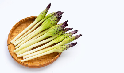 Curcuma sessilis flower in bamboo basket on white background.