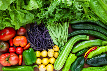 Assortment of organic home-grown vegetables from own garden. Plenty fresh veg of various colors, species and cultivar.