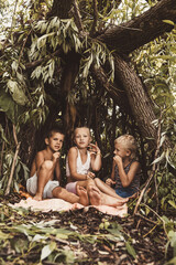 Fototapete bei efototapeten.de bestellen   